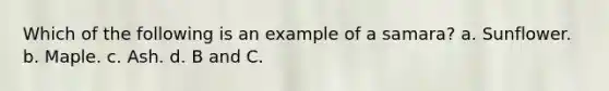 Which of the following is an example of a samara? a. Sunflower. b. Maple. c. Ash. d. B and C.