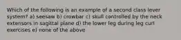 Which of the following is an example of a second class lever system? a) seesaw b) crowbar c) skull controlled by the neck extensors in sagittal plane d) the lower leg during leg curl exercises e) none of the above