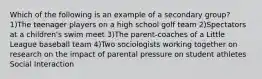 Which of the following is an example of a secondary group? 1)The teenager players on a high school golf team 2)Spectators at a children's swim meet 3)The parent-coaches of a Little League baseball team 4)Two sociologists working together on research on the impact of parental pressure on student athletes Social Interaction