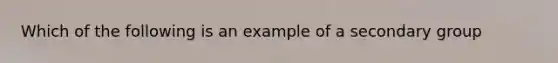 Which of the following is an example of a secondary group