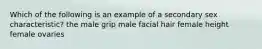 Which of the following is an example of a secondary sex characteristic? the male grip male facial hair female height female ovaries