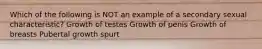 Which of the following is NOT an example of a secondary sexual characteristic? Growth of testes Growth of penis Growth of breasts Pubertal growth spurt