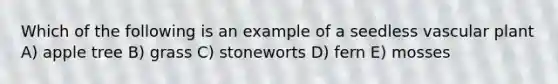 Which of the following is an example of a seedless vascular plant A) apple tree B) grass C) stoneworts D) fern E) mosses