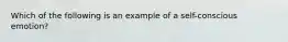 Which of the following is an example of a self-conscious emotion?