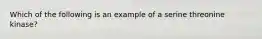 Which of the following is an example of a serine threonine kinase?