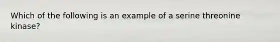 Which of the following is an example of a serine threonine kinase?