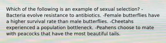 Which of the following is an example of sexual selection? -Bacteria evolve resistance to antibiotics. -Female butterflies have a higher survival rate than male butterflies. -Cheetahs experienced a population bottleneck. -Peahens choose to mate with peacocks that have the most beautiful tails.