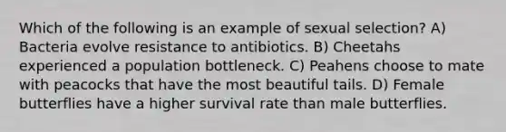 Which of the following is an example of sexual selection? A) Bacteria evolve resistance to antibiotics. B) Cheetahs experienced a population bottleneck. C) Peahens choose to mate with peacocks that have the most beautiful tails. D) Female butterflies have a higher survival rate than male butterflies.