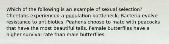 Which of the following is an example of sexual selection? Cheetahs experienced a population bottleneck. Bacteria evolve resistance to antibiotics. Peahens choose to mate with peacocks that have the most beautiful tails. Female butterflies have a higher survival rate than male butterflies.