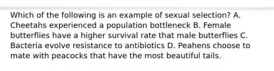 Which of the following is an example of sexual selection? A. Cheetahs experienced a population bottleneck B. Female butterflies have a higher survival rate that male butterflies C. Bacteria evolve resistance to antibiotics D. Peahens choose to mate with peacocks that have the most beautiful tails.