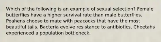 Which of the following is an example of sexual selection? Female butterflies have a higher survival rate than male butterflies. Peahens choose to mate with peacocks that have the most beautiful tails. Bacteria evolve resistance to antibiotics. Cheetahs experienced a population bottleneck.