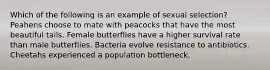 Which of the following is an example of sexual selection? Peahens choose to mate with peacocks that have the most beautiful tails. Female butterflies have a higher survival rate than male butterflies. Bacteria evolve resistance to antibiotics. Cheetahs experienced a population bottleneck.