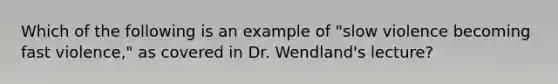 Which of the following is an example of "slow violence becoming fast violence," as covered in Dr. Wendland's lecture?