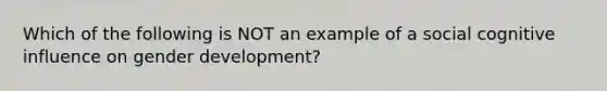 Which of the following is NOT an example of a social cognitive influence on gender development?