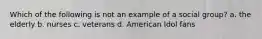 Which of the following is not an example of a social group? a. the elderly b. nurses c. veterans d. American Idol fans