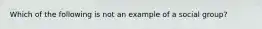 Which of the following is not an example of a social group?