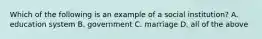 Which of the following is an example of a social institution? A. education system B. government C. marriage D. all of the above