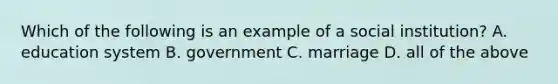 Which of the following is an example of a social institution? A. education system B. government C. marriage D. all of the above