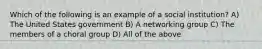 Which of the following is an example of a social institution? A) The United States government B) A networking group C) The members of a choral group D) All of the above