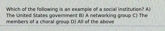 Which of the following is an example of a social institution? A) The United States government B) A networking group C) The members of a choral group D) All of the above