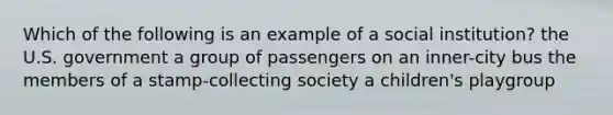 Which of the following is an example of a social institution? the U.S. government a group of passengers on an inner-city bus the members of a stamp-collecting society a children's playgroup