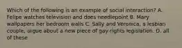 Which of the following is an example of social interaction? A. Felipe watches television and does needlepoint B. Mary wallpapers her bedroom walls C. Sally and Veronica, a lesbian couple, argue about a new piece of gay-rights legislation. D. all of these