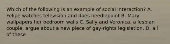 Which of the following is an example of social interaction? A. Felipe watches television and does needlepoint B. Mary wallpapers her bedroom walls C. Sally and Veronica, a lesbian couple, argue about a new piece of gay-rights legislation. D. all of these