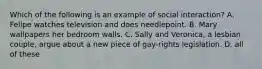 Which of the following is an example of social interaction? A. Felipe watches television and does needlepoint. B. Mary wallpapers her bedroom walls. C. Sally and Veronica, a lesbian couple, argue about a new piece of gay-rights legislation. D. all of these