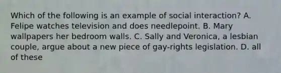 Which of the following is an example of social interaction? A. Felipe watches television and does needlepoint. B. Mary wallpapers her bedroom walls. C. Sally and Veronica, a lesbian couple, argue about a new piece of gay-rights legislation. D. all of these