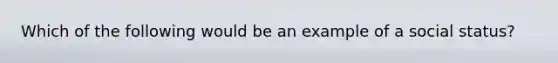 Which of the following would be an example of a social status?