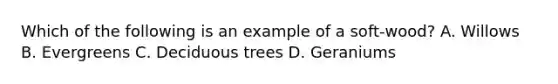 Which of the following is an example of a soft-wood? A. Willows B. Evergreens C. Deciduous trees D. Geraniums