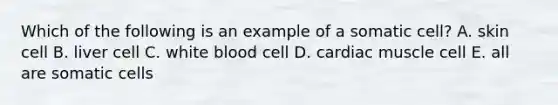 Which of the following is an example of a somatic cell? A. skin cell B. liver cell C. white blood cell D. cardiac muscle cell E. all are somatic cells