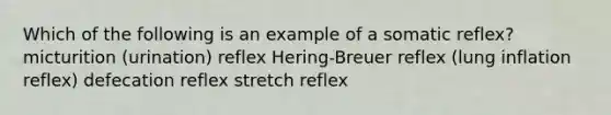 Which of the following is an example of a somatic reflex? micturition (urination) reflex Hering-Breuer reflex (lung inflation reflex) defecation reflex stretch reflex