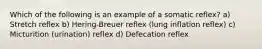 Which of the following is an example of a somatic reflex? a) Stretch reflex b) Hering-Breuer reflex (lung inflation reflex) c) Micturition (urination) reflex d) Defecation reflex