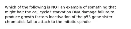 Which of the following is NOT an example of something that might halt the cell cycle? starvation DNA damage failure to produce growth factors inactivation of the p53 gene sister chromatids fail to attach to the mitotic spindle