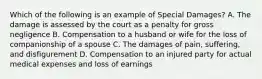 Which of the following is an example of Special Damages? A. The damage is assessed by the court as a penalty for gross negligence B. Compensation to a husband or wife for the loss of companionship of a spouse C. The damages of pain, suffering, and disfigurement D. Compensation to an injured party for actual medical expenses and loss of earnings