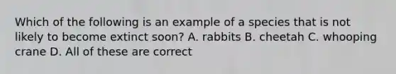 Which of the following is an example of a species that is not likely to become extinct soon? A. rabbits B. cheetah C. whooping crane D. All of these are correct