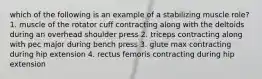 which of the following is an example of a stabilizing muscle role? 1. muscle of the rotator cuff contracting along with the deltoids during an overhead shoulder press 2. triceps contracting along with pec major during bench press 3. glute max contracting during hip extension 4. rectus femoris contracting during hip extension