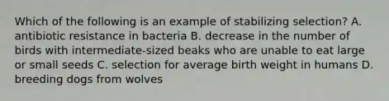 Which of the following is an example of stabilizing selection? A. antibiotic resistance in bacteria B. decrease in the number of birds with intermediate-sized beaks who are unable to eat large or small seeds C. selection for average birth weight in humans D. breeding dogs from wolves