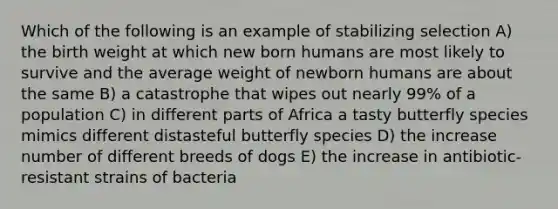 Which of the following is an example of stabilizing selection A) the birth weight at which new born humans are most likely to survive and the average weight of newborn humans are about the same B) a catastrophe that wipes out nearly 99% of a population C) in different parts of Africa a tasty butterfly species mimics different distasteful butterfly species D) the increase number of different breeds of dogs E) the increase in antibiotic-resistant strains of bacteria