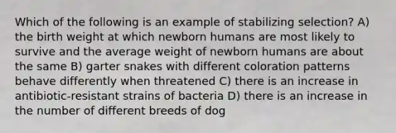 Which of the following is an example of stabilizing selection? A) the birth weight at which newborn humans are most likely to survive and the average weight of newborn humans are about the same B) garter snakes with different coloration patterns behave differently when threatened C) there is an increase in antibiotic-resistant strains of bacteria D) there is an increase in the number of different breeds of dog