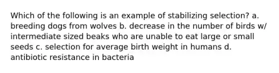 Which of the following is an example of stabilizing selection? a. breeding dogs from wolves b. decrease in the number of birds w/ intermediate sized beaks who are unable to eat large or small seeds c. selection for average birth weight in humans d. antibiotic resistance in bacteria