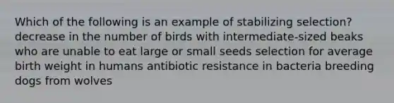 Which of the following is an example of stabilizing selection? decrease in the number of birds with intermediate-sized beaks who are unable to eat large or small seeds selection for average birth weight in humans antibiotic resistance in bacteria breeding dogs from wolves