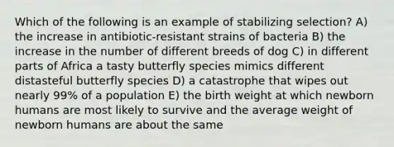 Which of the following is an example of stabilizing selection? A) the increase in antibiotic-resistant strains of bacteria B) the increase in the number of different breeds of dog C) in different parts of Africa a tasty butterfly species mimics different distasteful butterfly species D) a catastrophe that wipes out nearly 99% of a population E) the birth weight at which newborn humans are most likely to survive and the average weight of newborn humans are about the same