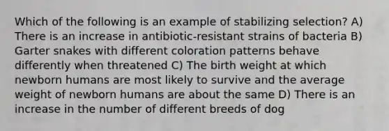 Which of the following is an example of stabilizing selection? A) There is an increase in antibiotic-resistant strains of bacteria B) Garter snakes with different coloration patterns behave differently when threatened C) The birth weight at which newborn humans are most likely to survive and the average weight of newborn humans are about the same D) There is an increase in the number of different breeds of dog