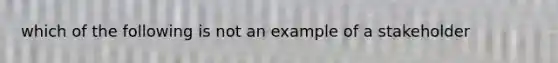 which of the following is not an example of a stakeholder