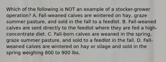 Which of the following is NOT an example of a stocker-grower operation? A. Fall-weaned calves are wintered on hay, graze summer pasture, and sold in the fall to a feedlot. B. Fall-weaned calves are sent directly to the feedlot where they are fed a high-concentrate diet. C. Fall-born calves are weaned in the spring, graze summer pasture, and sold to a feedlot in the fall. D. Fall-weaned calves are wintered on hay or silage and sold in the spring weighing 800 to 900 lbs.