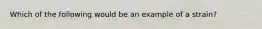 Which of the following would be an example of a strain?