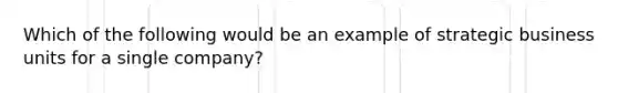 Which of the following would be an example of strategic business units for a single company?