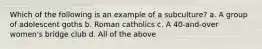 Which of the following is an example of a subculture? a. A group of adolescent goths b. Roman catholics c. A 40-and-over women's bridge club d. All of the above